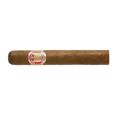 Saint Luis Rey