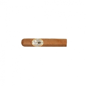 Samana Classic Petit Robusto