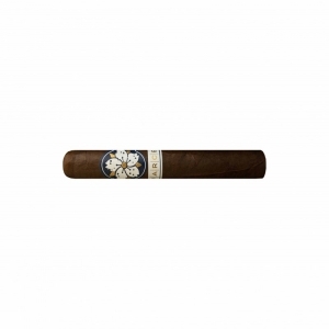 Room 101 Farce Maduro Papi Chulo