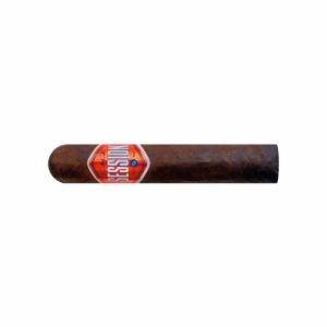 CAO Session Garage Robusto
