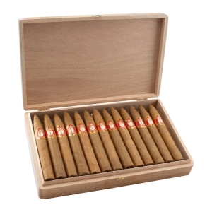 Palmar Arriba Torpedo