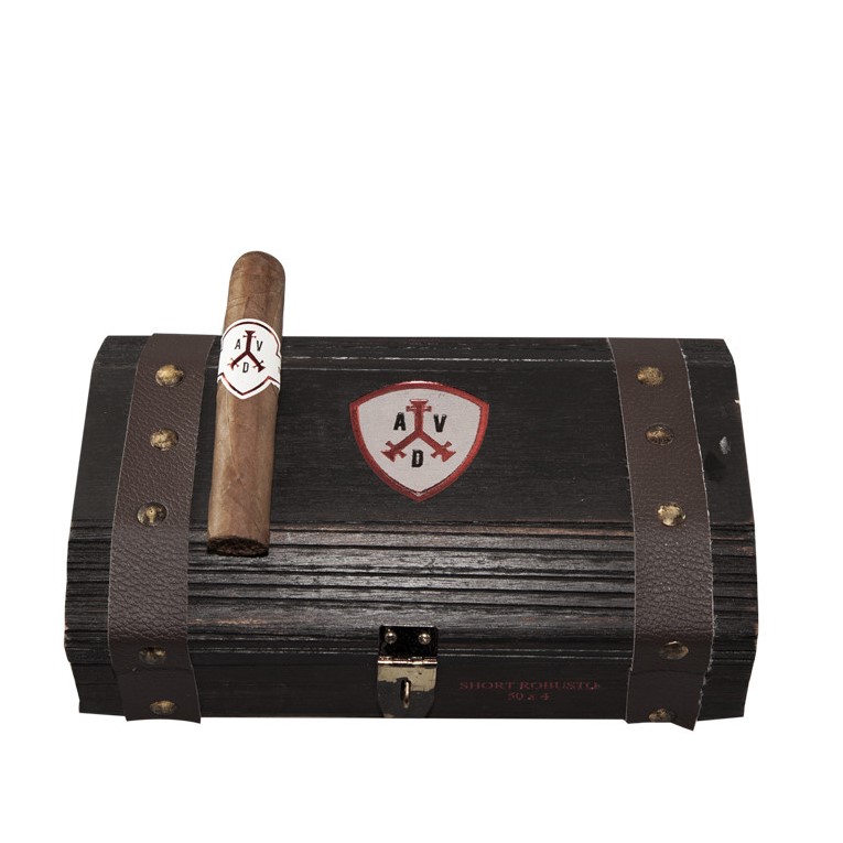 Adventura The Explorer