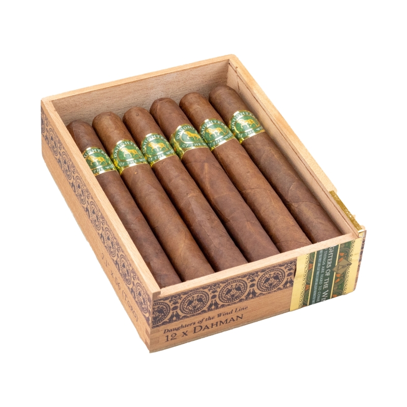 Casdagli Daughters of the Wind