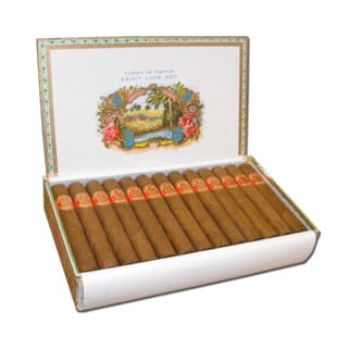 Saint Luis Rey