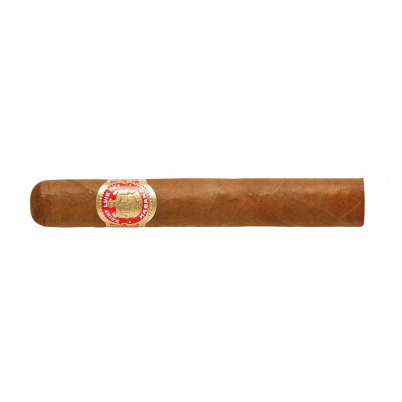 Saint Luis Rey