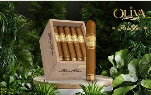Flor de Oliva jetzt auch als Connecticut - neu !